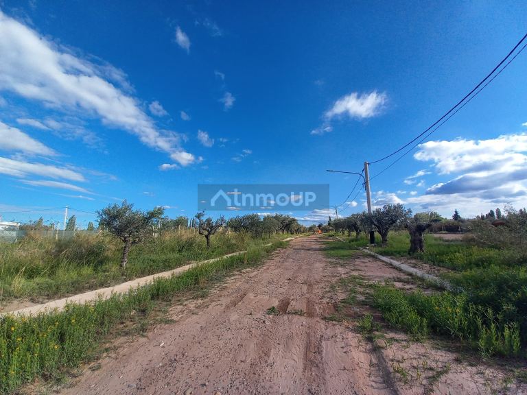 Lote en Venta en Lujan de Cuyo, Mendoza