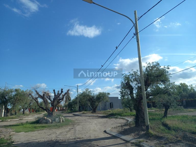 Lote en Venta en Lujan de Cuyo, Mendoza