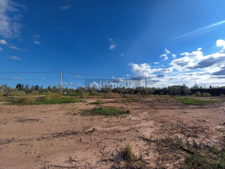 Lote en Venta en Lujan de Cuyo, Mendoza
