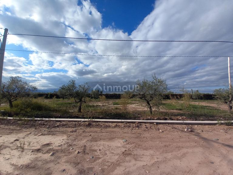 Lote en Venta en Lujan de Cuyo, Mendoza