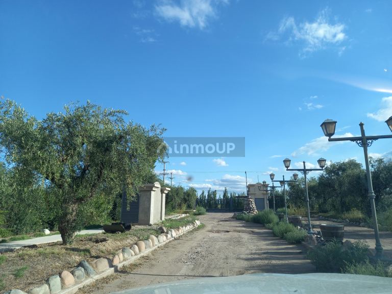 Lote en Venta en Lujan de Cuyo, Mendoza