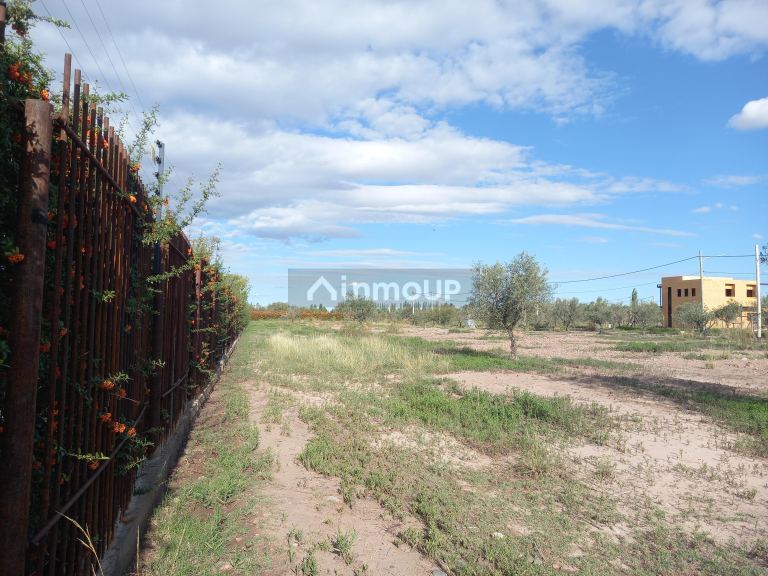 Lote en Venta en Lujan de Cuyo, Mendoza