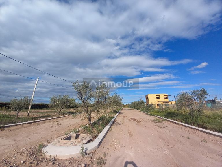 Lote en Venta en Lujan de Cuyo, Mendoza
