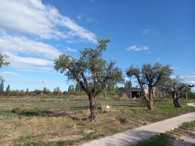 Lote en Venta en Lujan de Cuyo, Mendoza
