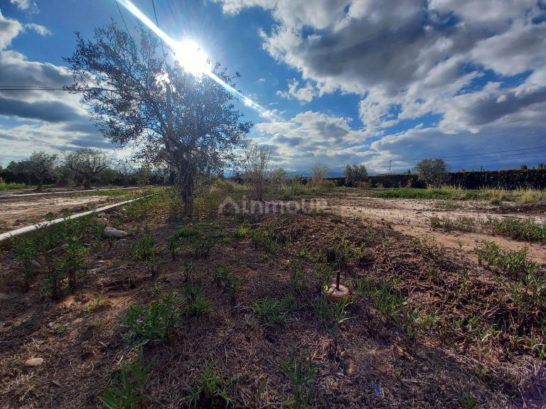 Lote en Venta en Lujan de Cuyo, Mendoza