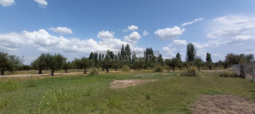 Lote en Venta en Lujan de Cuyo, Mendoza