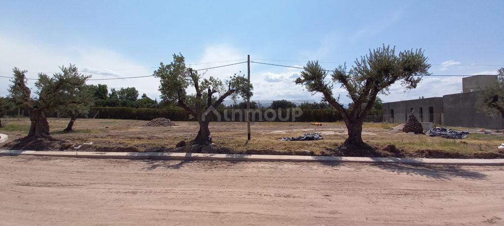 Lote en Venta en Lujan de Cuyo, Mendoza