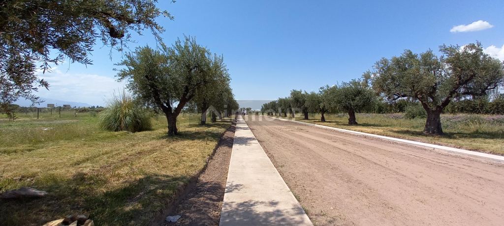 Lote en Venta en Lujan de Cuyo, Mendoza