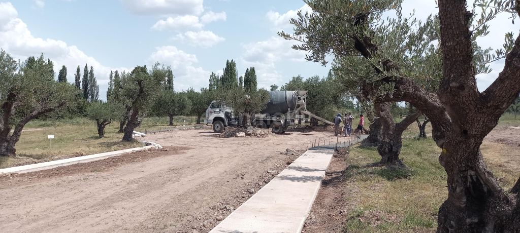 Lote en Venta en Lujan de Cuyo, Mendoza
