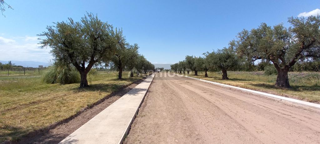 Lote en Venta en Lujan de Cuyo, Mendoza
