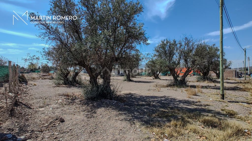 Lote en Venta en Lujan de Cuyo, Mendoza