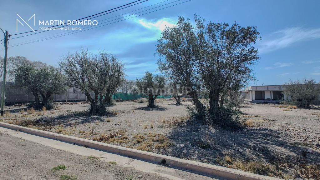 Lote en Venta en Lujan de Cuyo, Mendoza