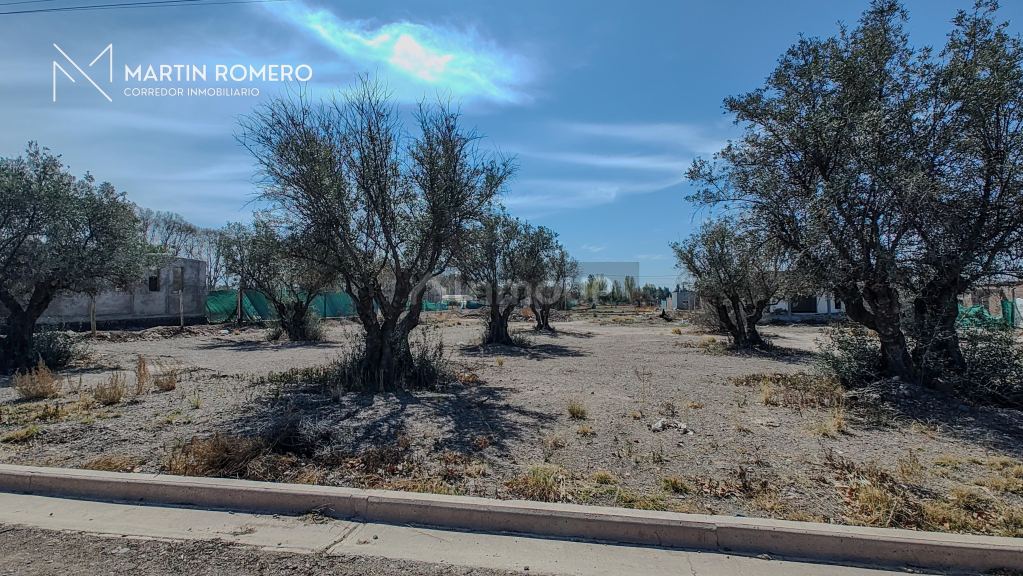 Lote en Venta en Lujan de Cuyo, Mendoza