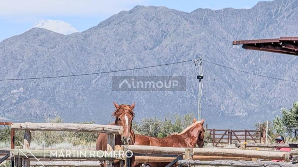 Lote en Venta en Lujan de Cuyo, Mendoza