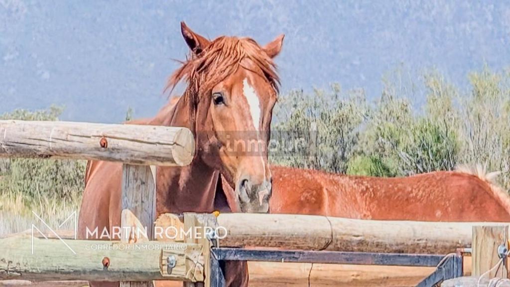Lote en Venta en Lujan de Cuyo, Mendoza