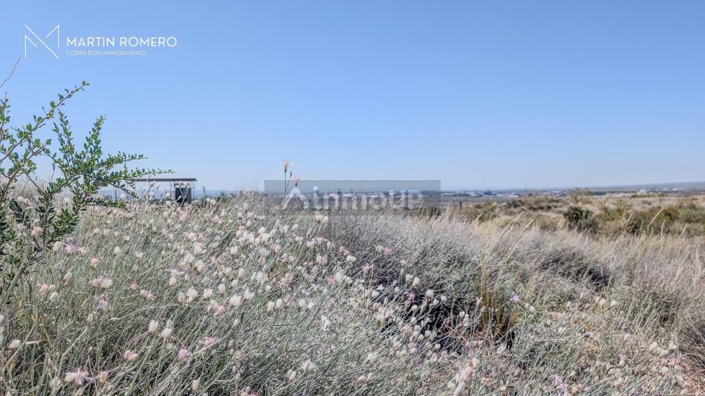 Lote en Venta en Lujan de Cuyo, Mendoza