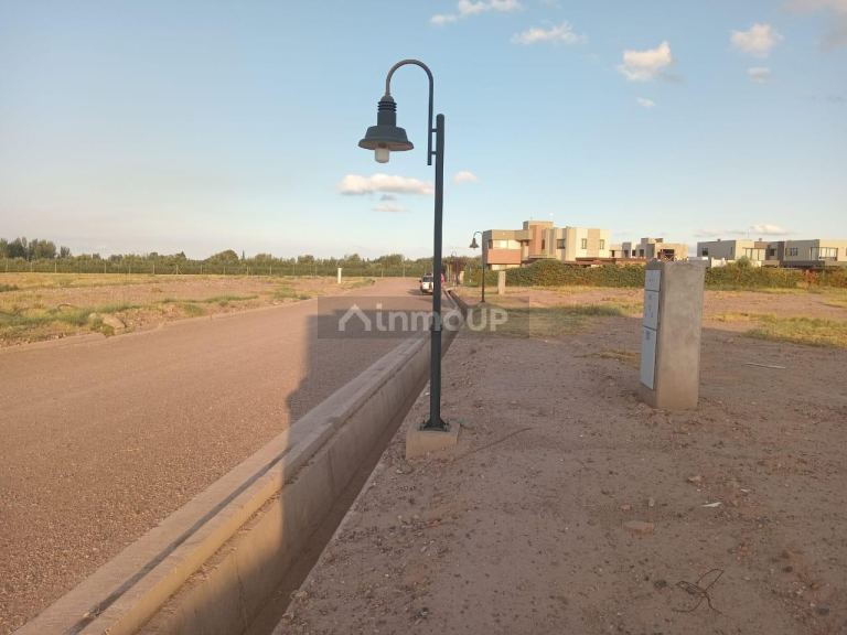 Lote en Venta en Lujan de Cuyo, Mendoza