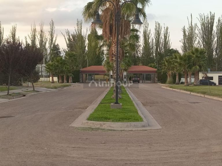 Lote en Venta en Lujan de Cuyo, Mendoza