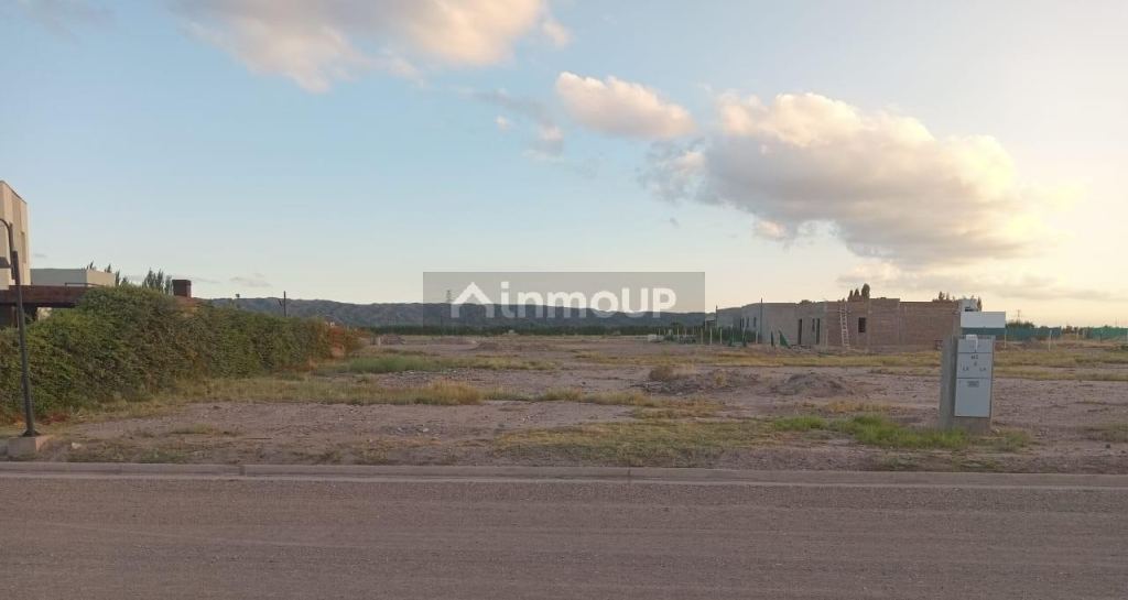 Lote en Venta en Lujan de Cuyo, Mendoza