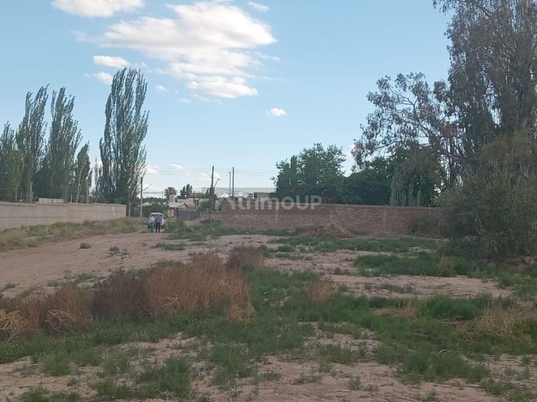 Lote en Venta en Lujan de Cuyo, Mendoza