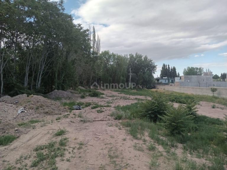 Lote en Venta en Lujan de Cuyo, Mendoza