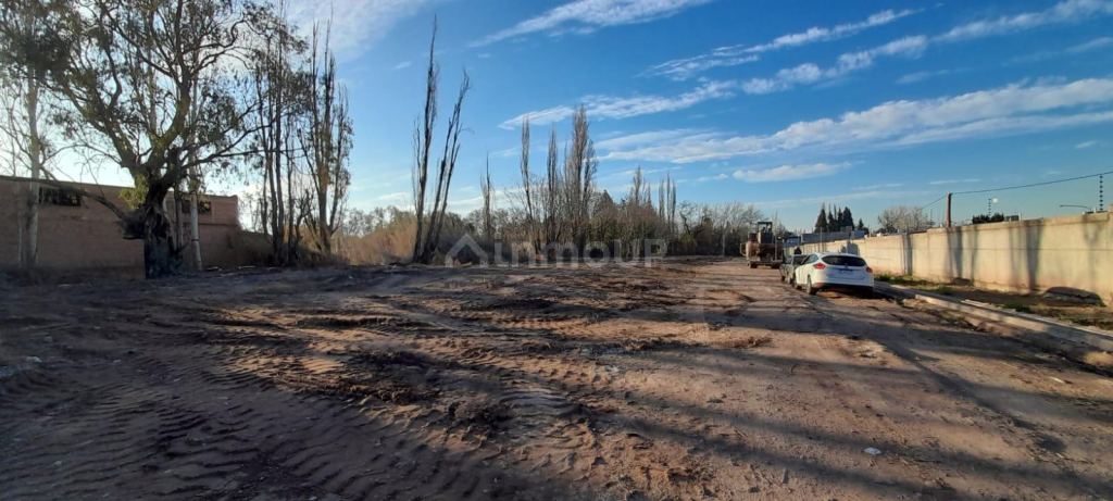 Lote en Venta en Lujan de Cuyo, Mendoza