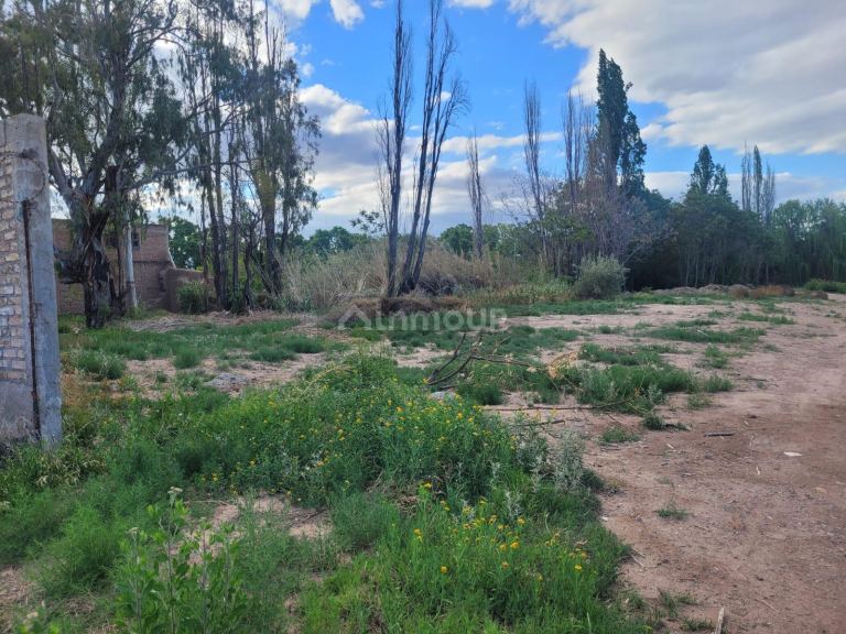 Lote en Venta en Lujan de Cuyo, Mendoza