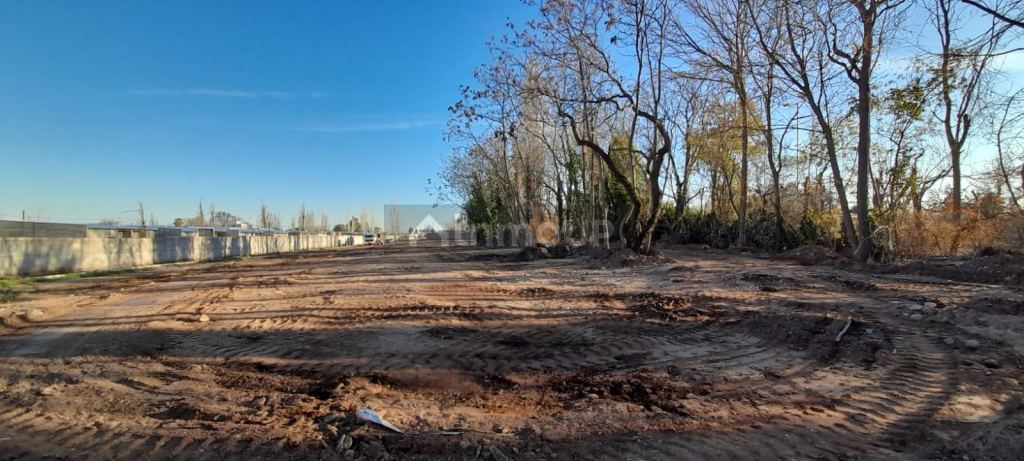 Lote en Venta en Lujan de Cuyo, Mendoza