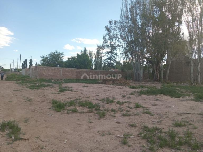 Lote en Venta en Lujan de Cuyo, Mendoza