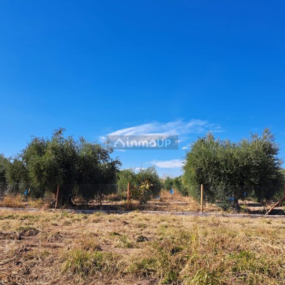 Lote en Venta en Maipu, Mendoza