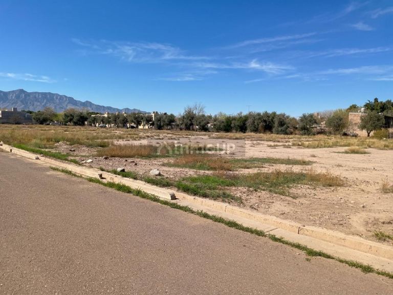 Lote en Venta en Lujan de Cuyo, Mendoza