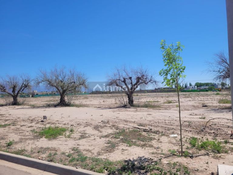Lote en Venta en Maipu, Mendoza