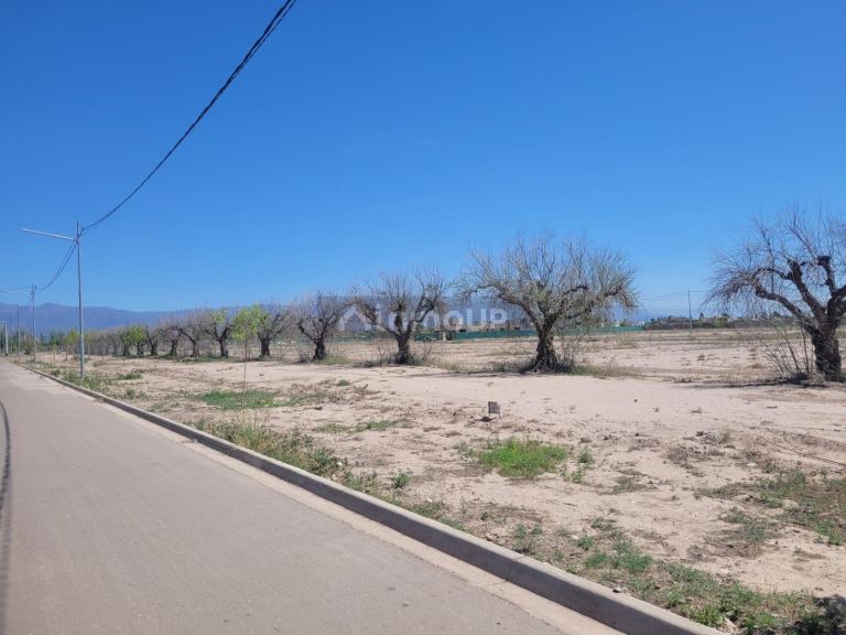 Lote en Venta en Maipu, Mendoza