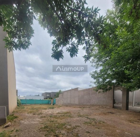 Lote en Venta en Lujan de Cuyo, Mendoza