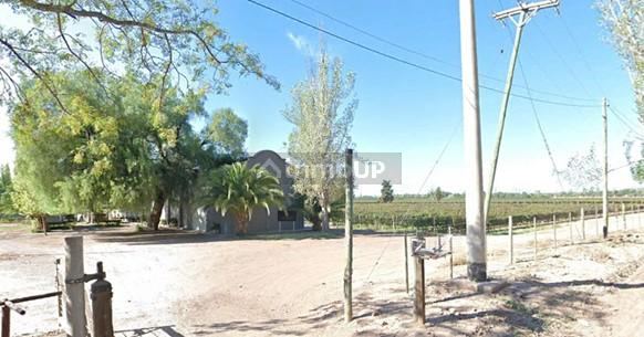 Viñedo en Venta en Maipu, Mendoza