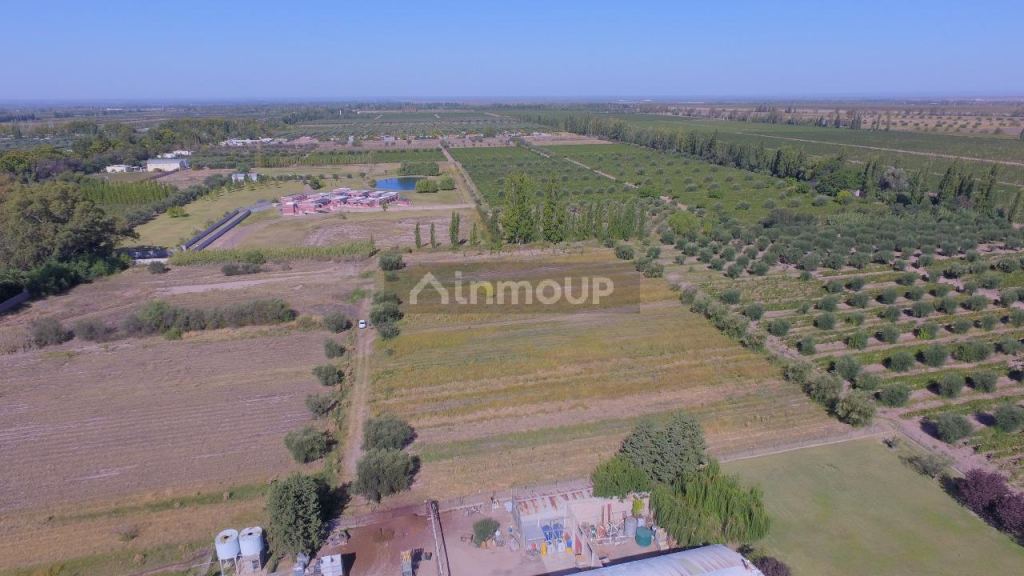 Lote en Venta en Maipu, Mendoza