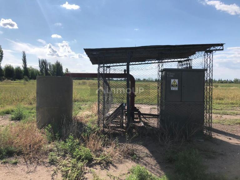Finca en Venta en San Martin, Mendoza