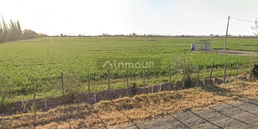 Finca en Venta en San Martin, Mendoza