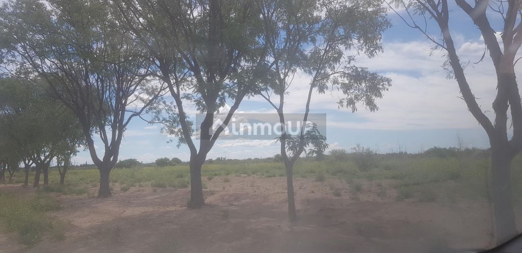 Finca en Venta en Santa Rosa, Mendoza