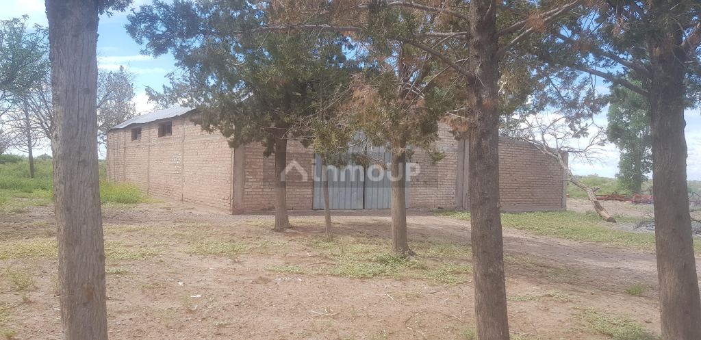 Finca en Venta en Santa Rosa, Mendoza