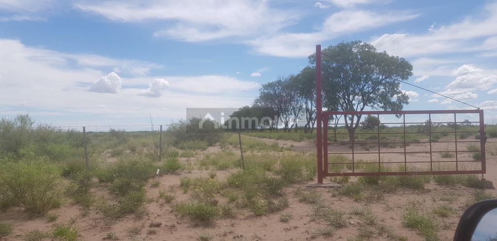 Finca en Venta en Santa Rosa, Mendoza