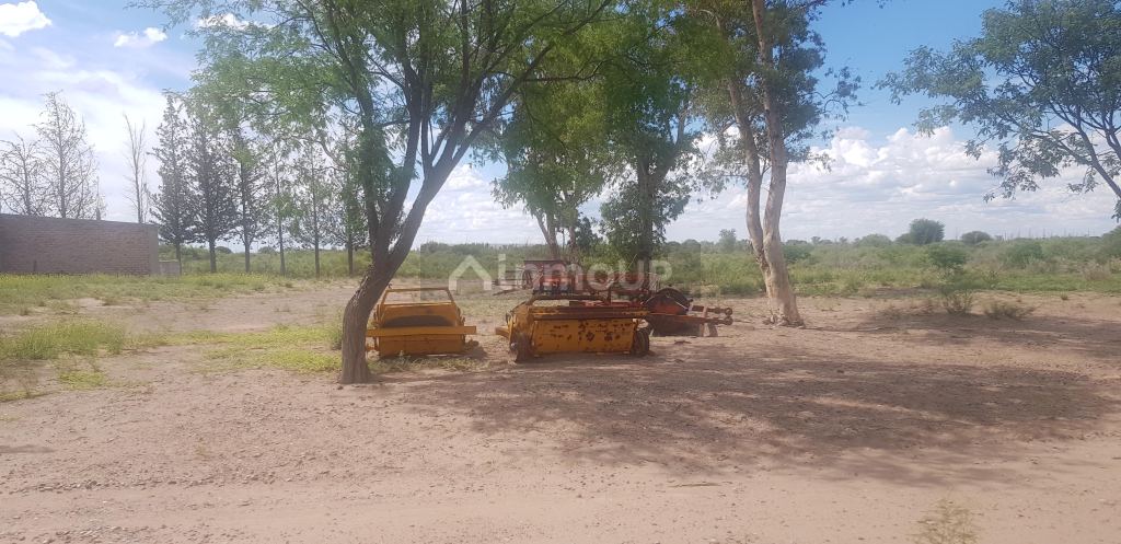 Finca en Venta en Santa Rosa, Mendoza