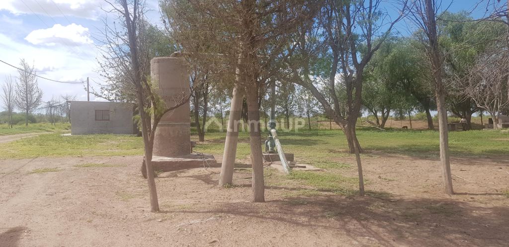 Finca en Venta en Santa Rosa, Mendoza