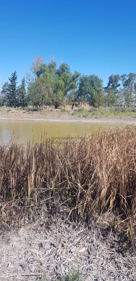 Finca en Venta en Santa Rosa, Mendoza