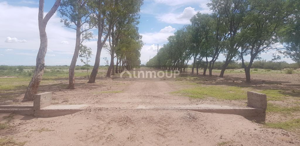Finca en Venta en Santa Rosa, Mendoza