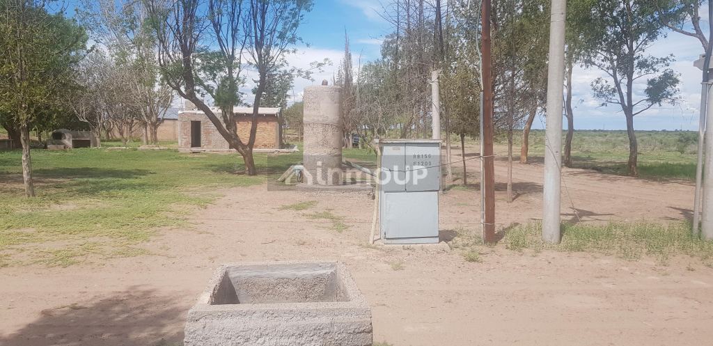 Finca en Venta en Santa Rosa, Mendoza