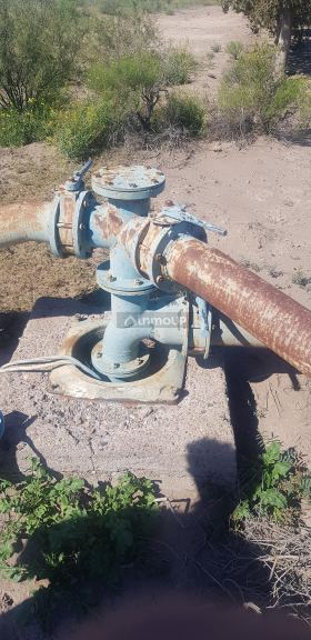 Finca en Venta en Santa Rosa, Mendoza