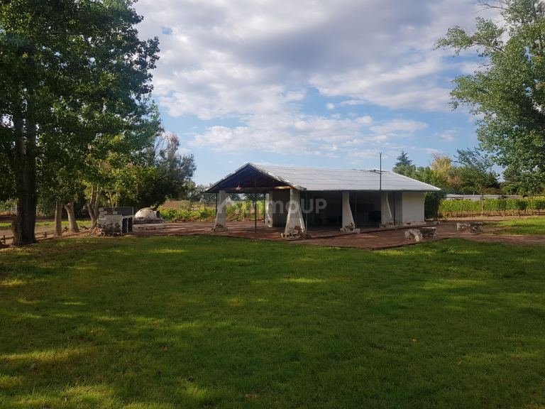 Finca en Venta en Lujan de Cuyo, Mendoza
