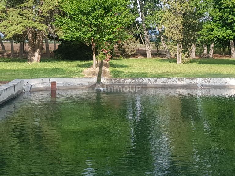 Finca en Venta en Lujan de Cuyo, Mendoza