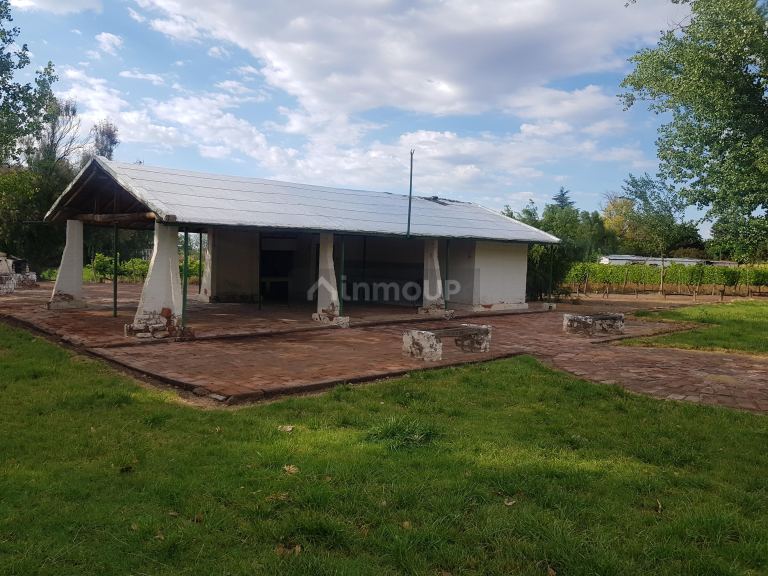Finca en Venta en Lujan de Cuyo, Mendoza